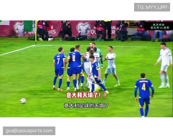 波黑世界杯小组赛总结:首次进入淘汰赛阶段 波黑世界杯小组赛总结:首次进入淘汰赛阶段